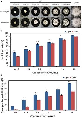 The photoactivated antifungal activity and possible mode of action of sodium pheophorbide a on Diaporthe mahothocarpus causing leaf spot blight in Camellia oleifera